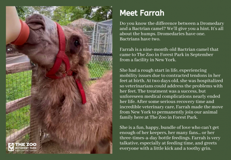 Meet Farrah