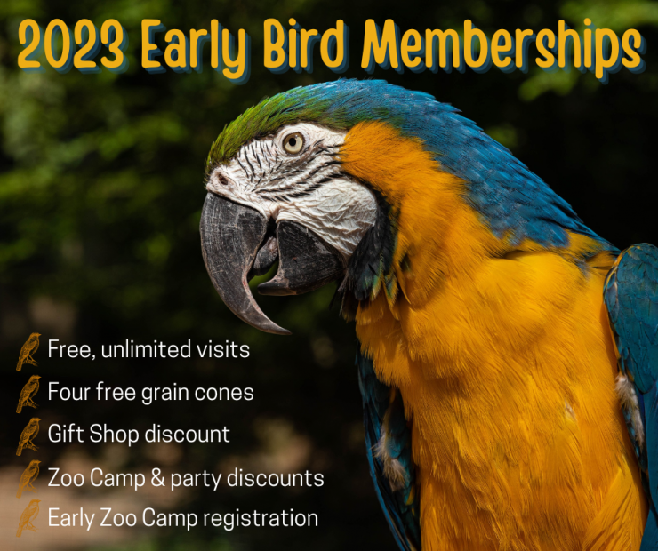 Early Bird Memberships.png