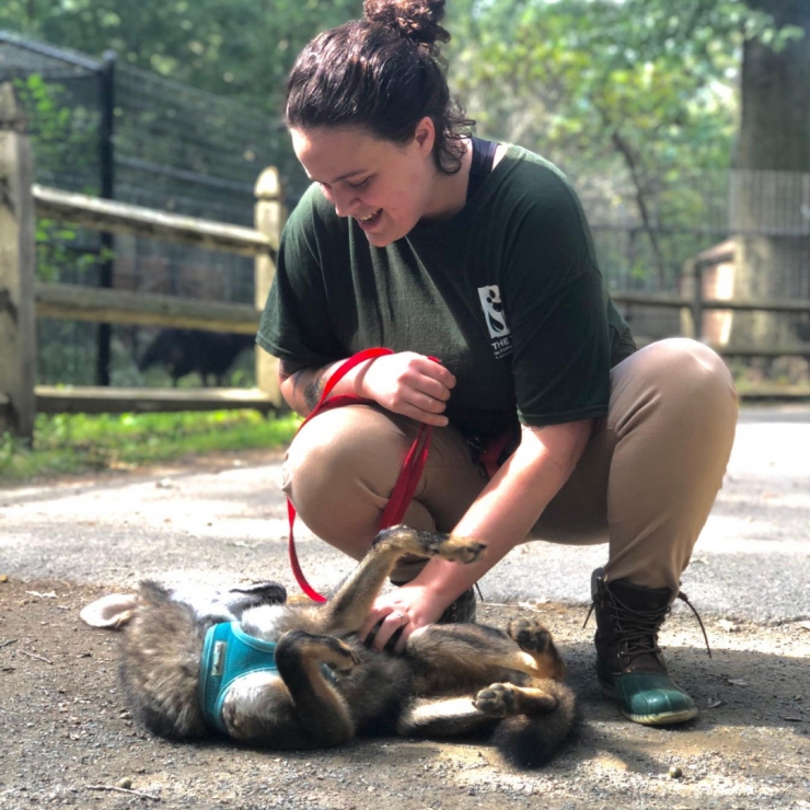 Forest Park Zoo receives second national award for education programming