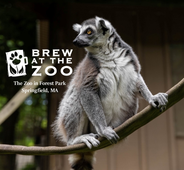 Brew at The Zoo 2019