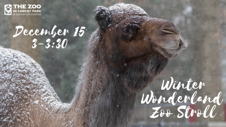 Winter Wonderland Zoo Stroll (1).png