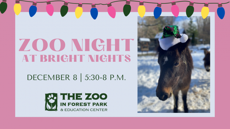 Zoo Night at Bright Nights.png